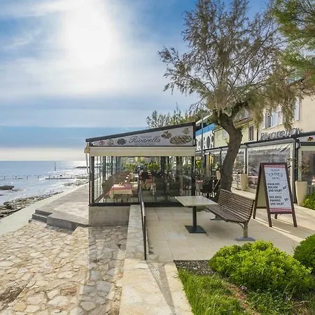 Lion Novigrad (Istria)
